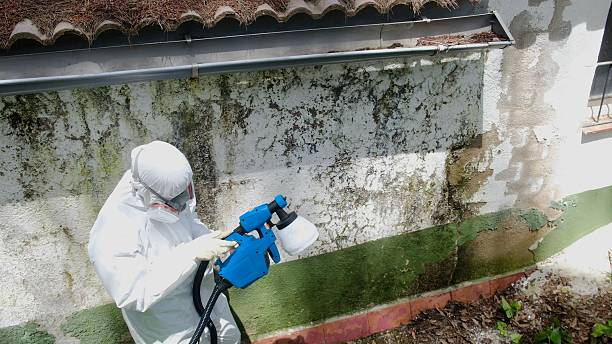 Trusted Bathroom Mold Removal service in Stirling, NJ - Cheap Mold Removal